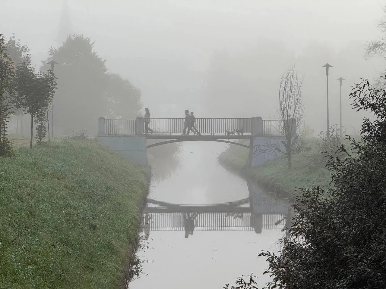 🍂 Осень укутала Парк Городов-Героев утренним туманом
