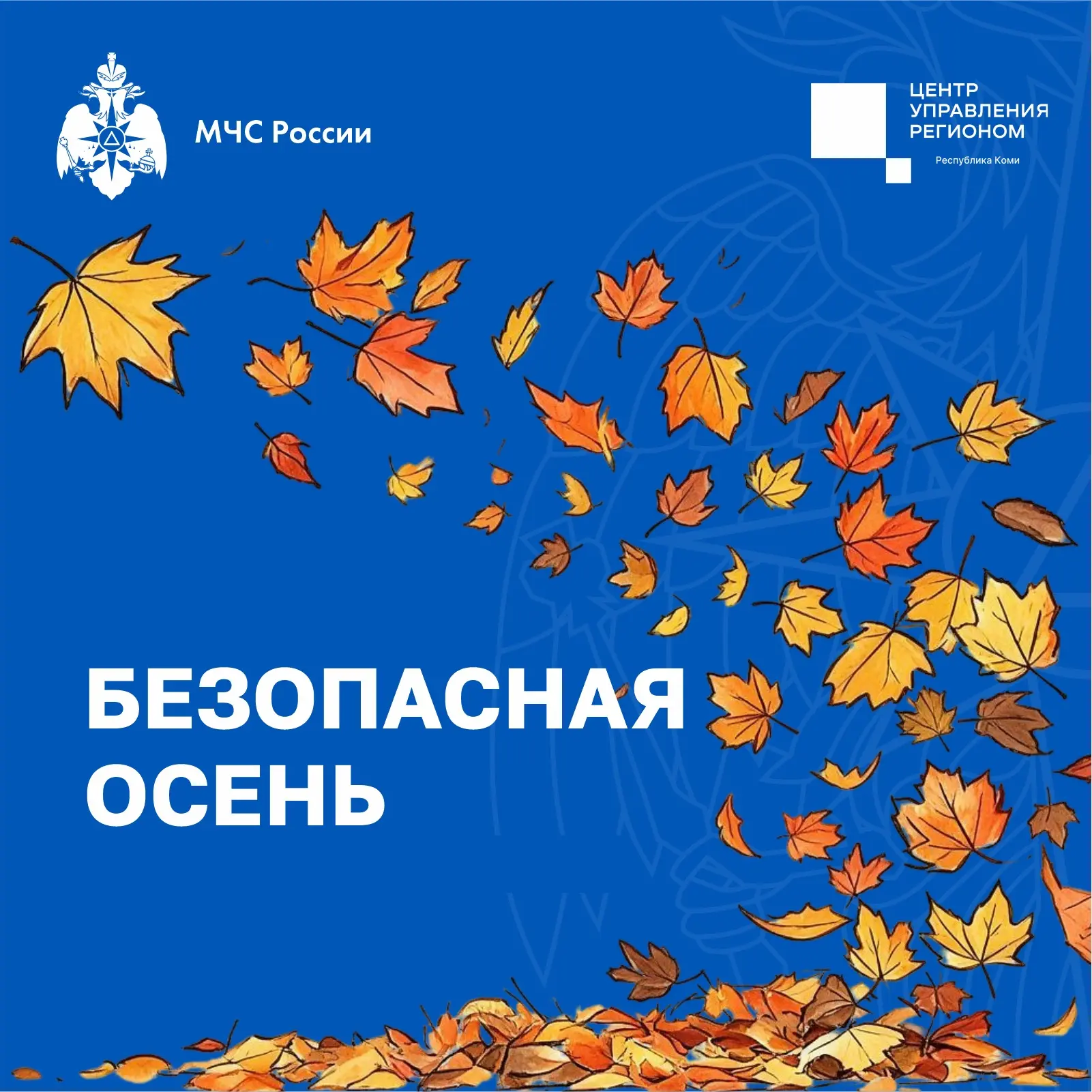 🍂Безопасная осень