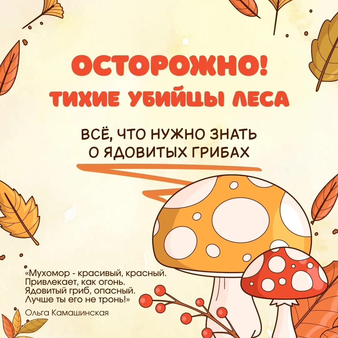 🍄✨ Август-октябрь — пик грибного сезона: время, когда леса наполняются ароматами грибо...