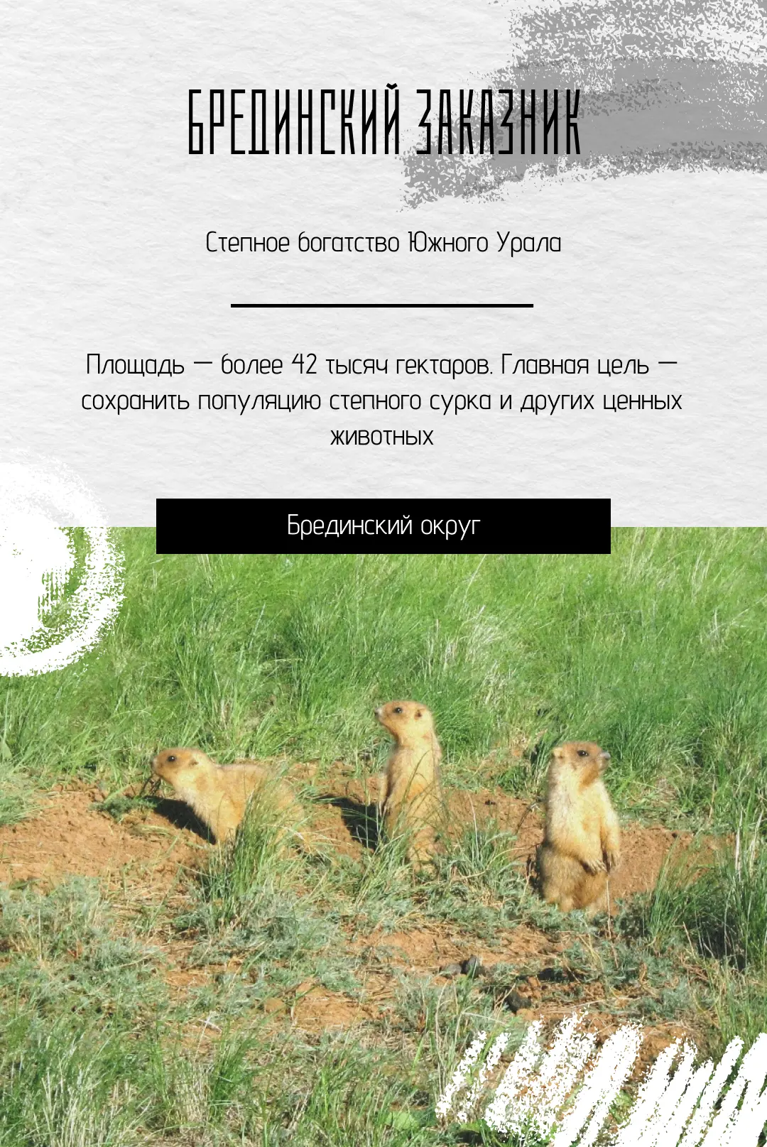 🌱 Открываем новые маршруты. Знакомьтесь, Брединский заказник