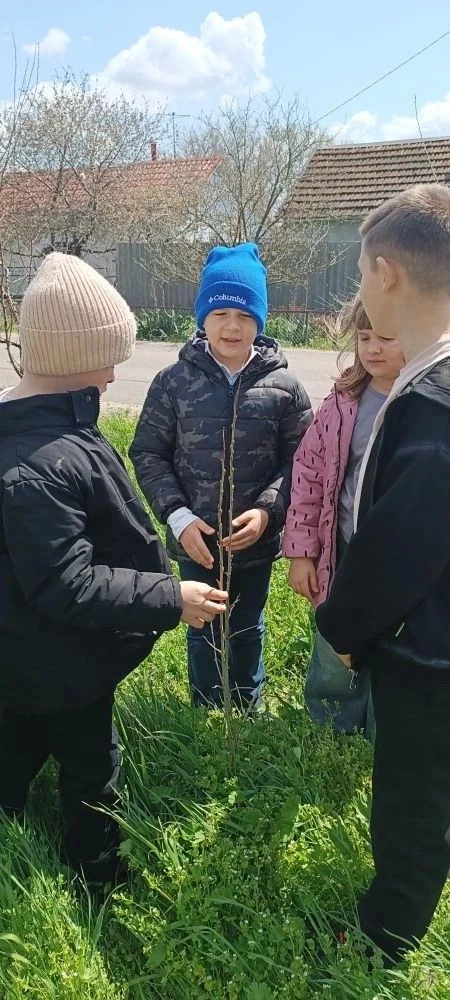 На этой неделе в объединении "Продленка плюс" прошел марафон, посвященный Дню Земли.Реб...