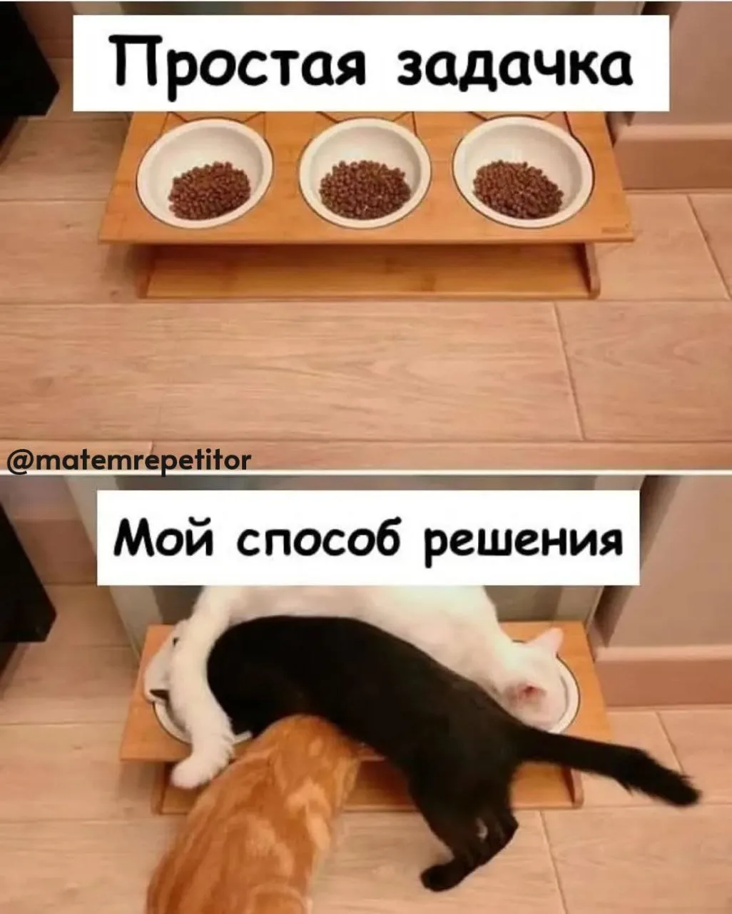 Переолимпиадил)