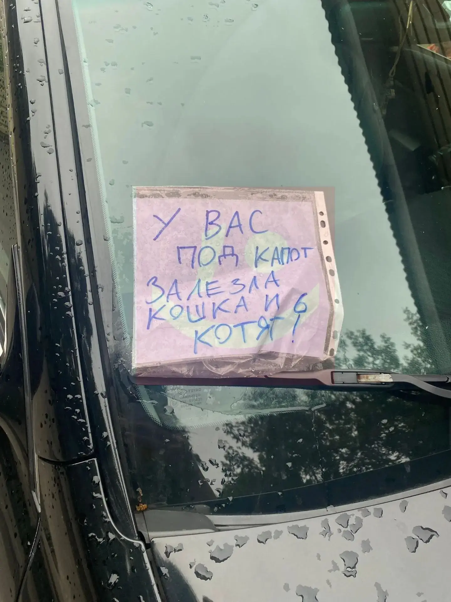 МАЛЫШИ 🙏 ПОДРОСЛИ