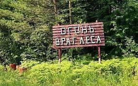 Нижегородский Минлесхоз напоминает о важности соблюдения правил пожарной безопасности в...