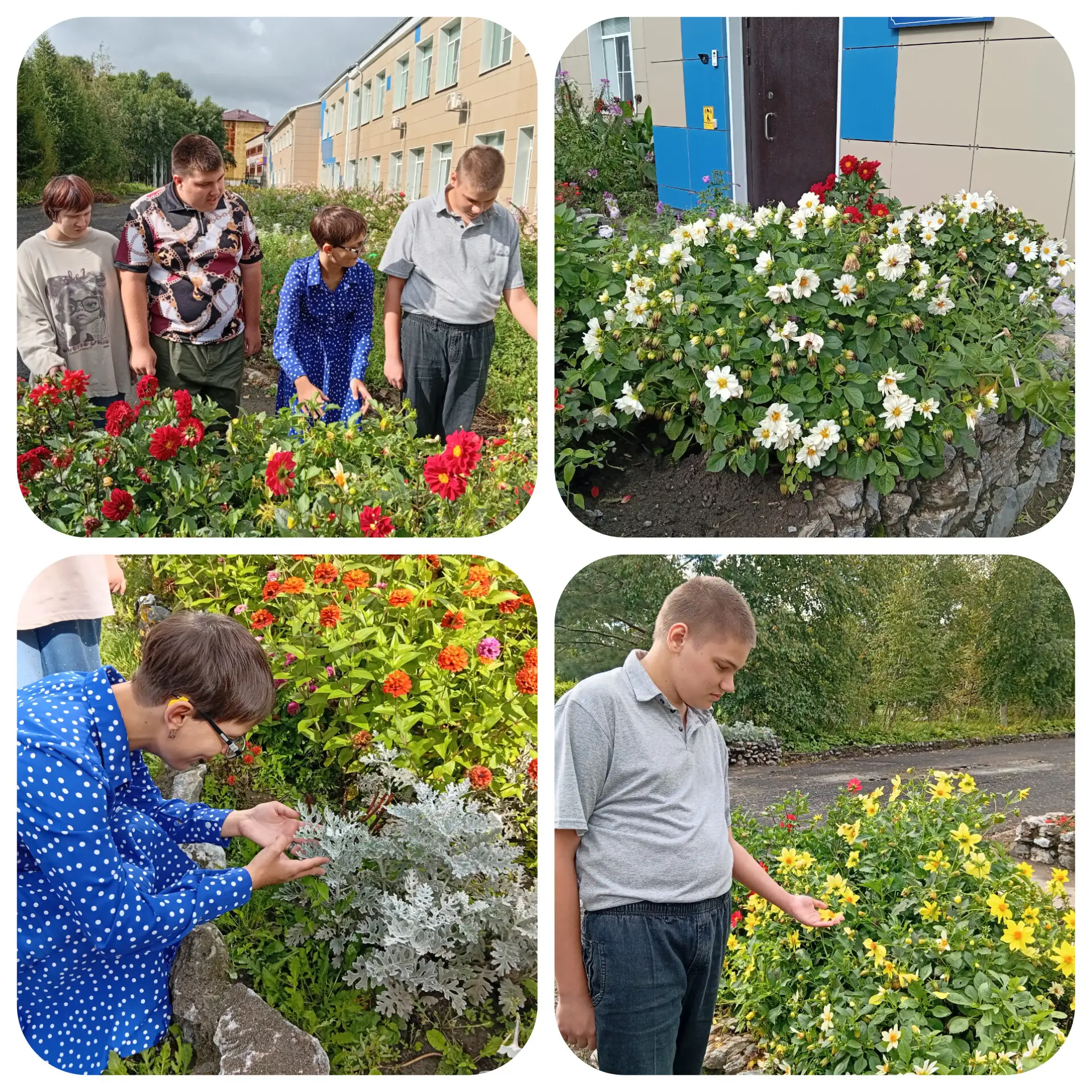 🌱 Кто живёт на нашей клумбе?