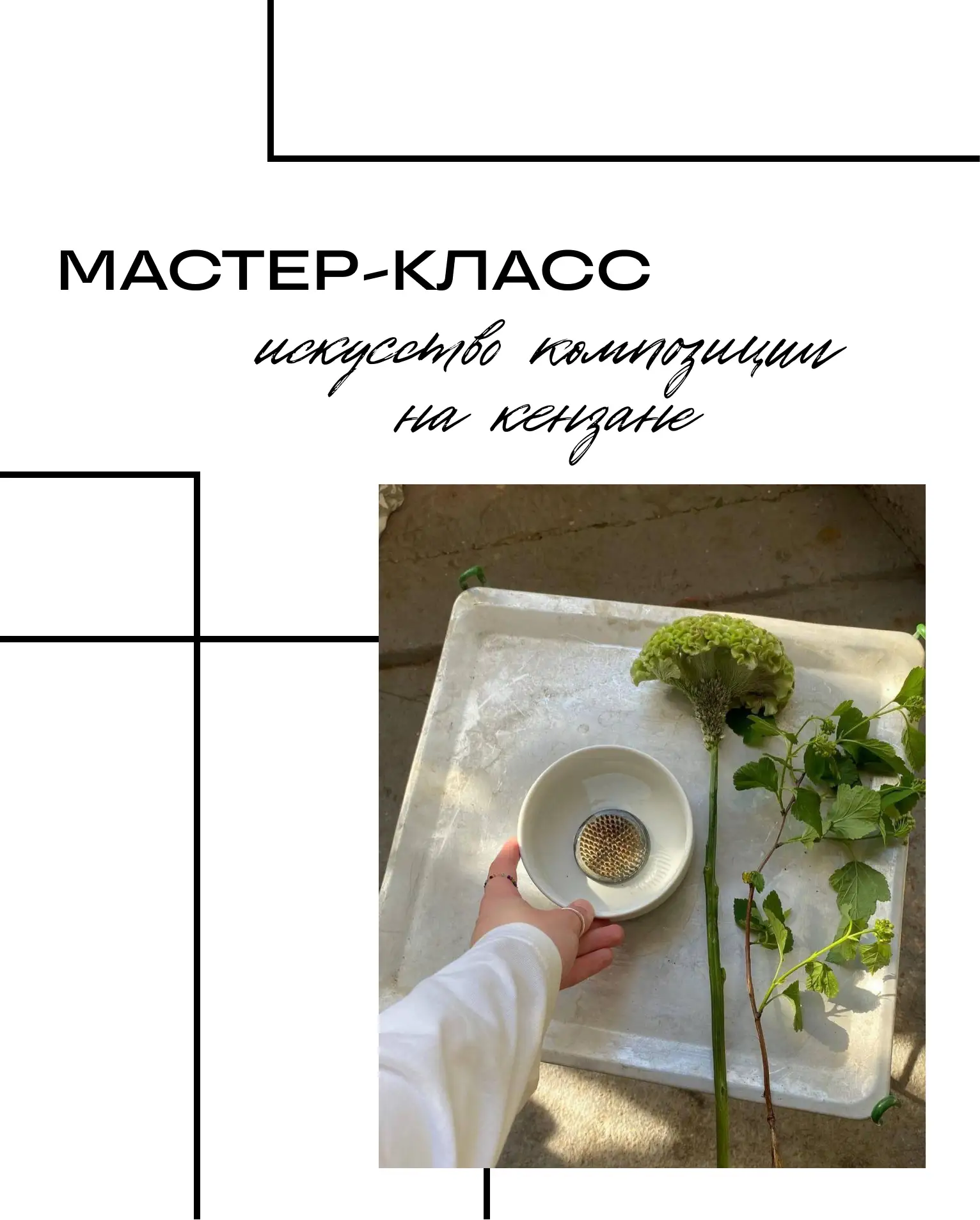 Философия воздуха и линий: мастер-класс по композициям на кензане

Что мы будем делать:

🌿 Познаком