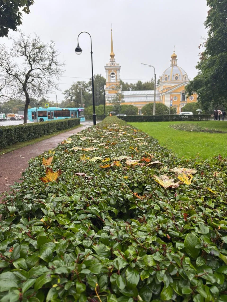 Завтра обещают снова дожди..
