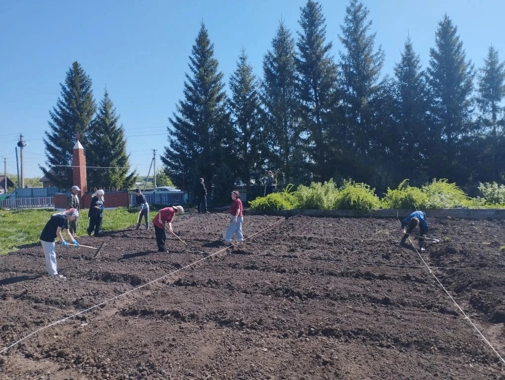 🥕🌿Сегодня в нашем огороде кипела работа! 🌿🥕