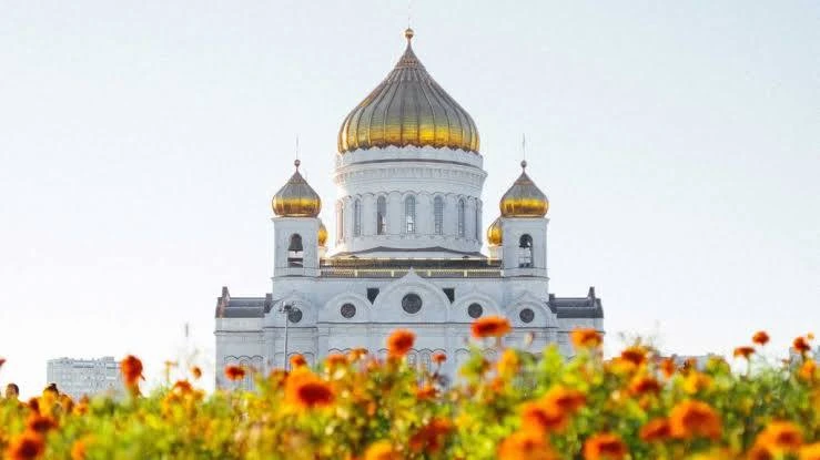 🥵 В Москве ожидается жара до +31 градуса

В выходные в столице прогнозируется температура до +31°C.