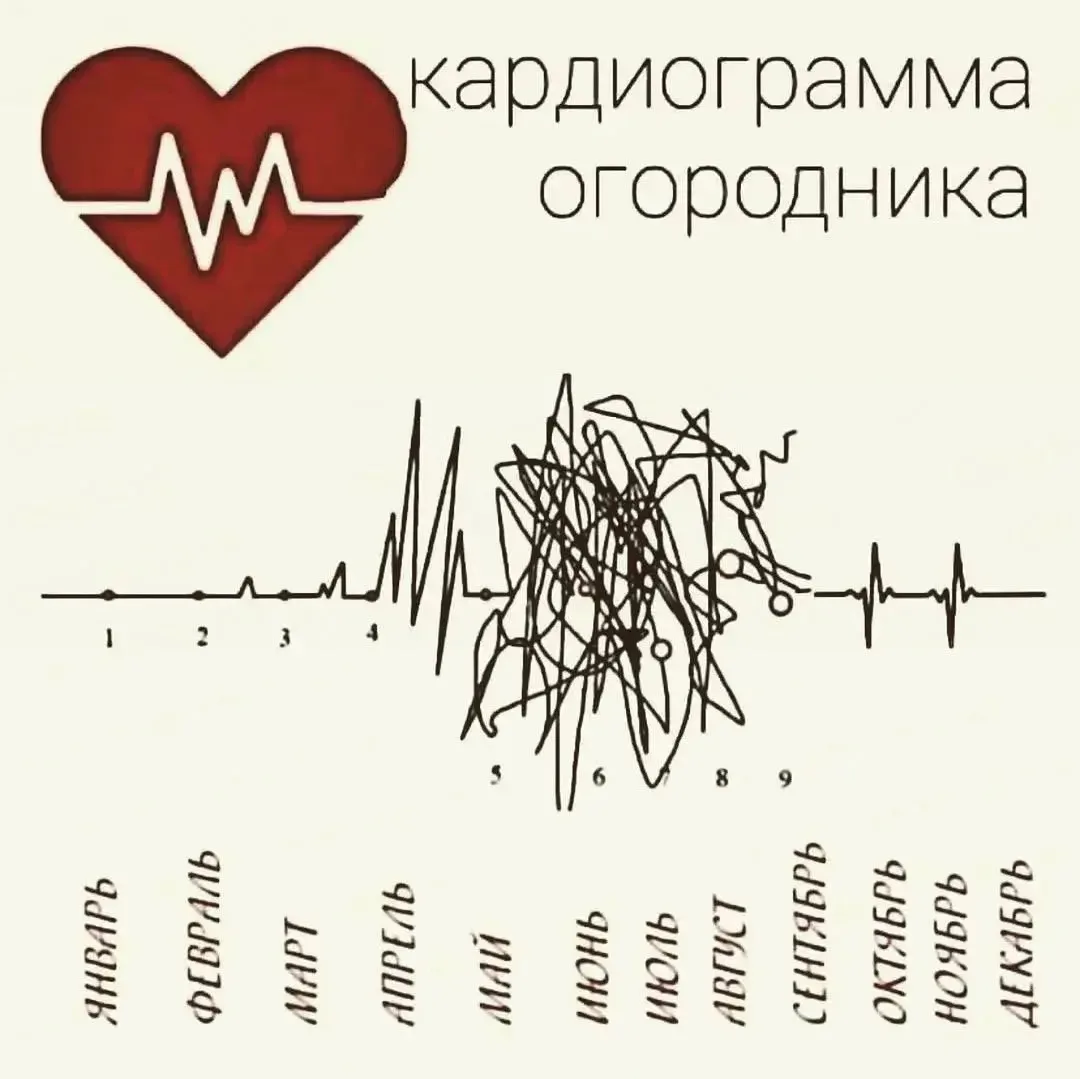 Кардиограмма огородника