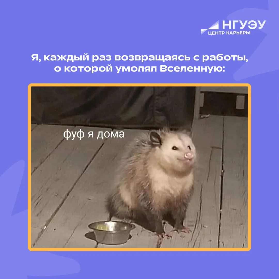 Даже работа мечты порой утомляет, а особенно – в начале пути 🙇

Рекомендация для новичков: не бойте
