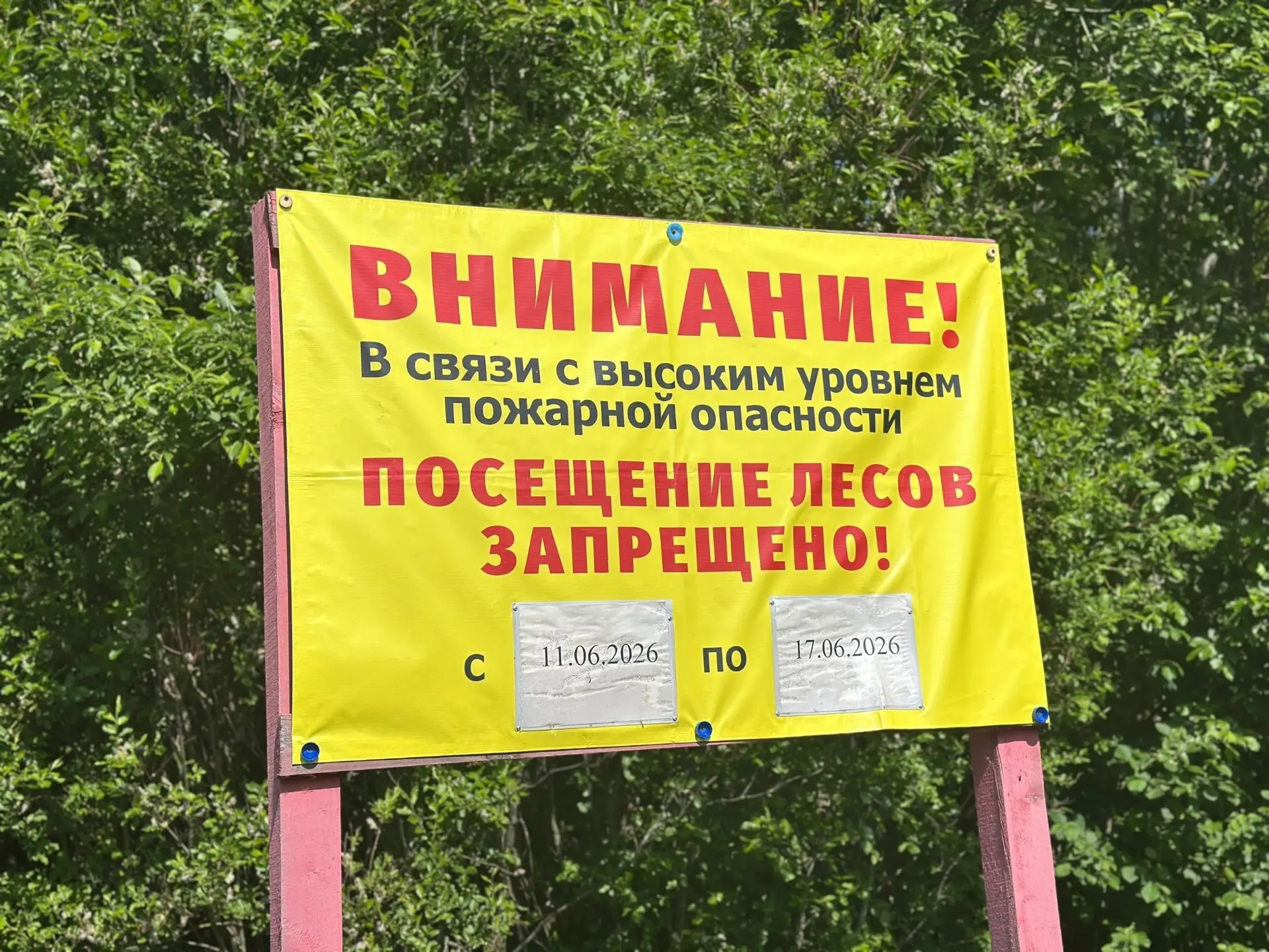 ❗️🔥 В лесах Архангельской области действует особый противопожарный режим

Ограничения действуют в п