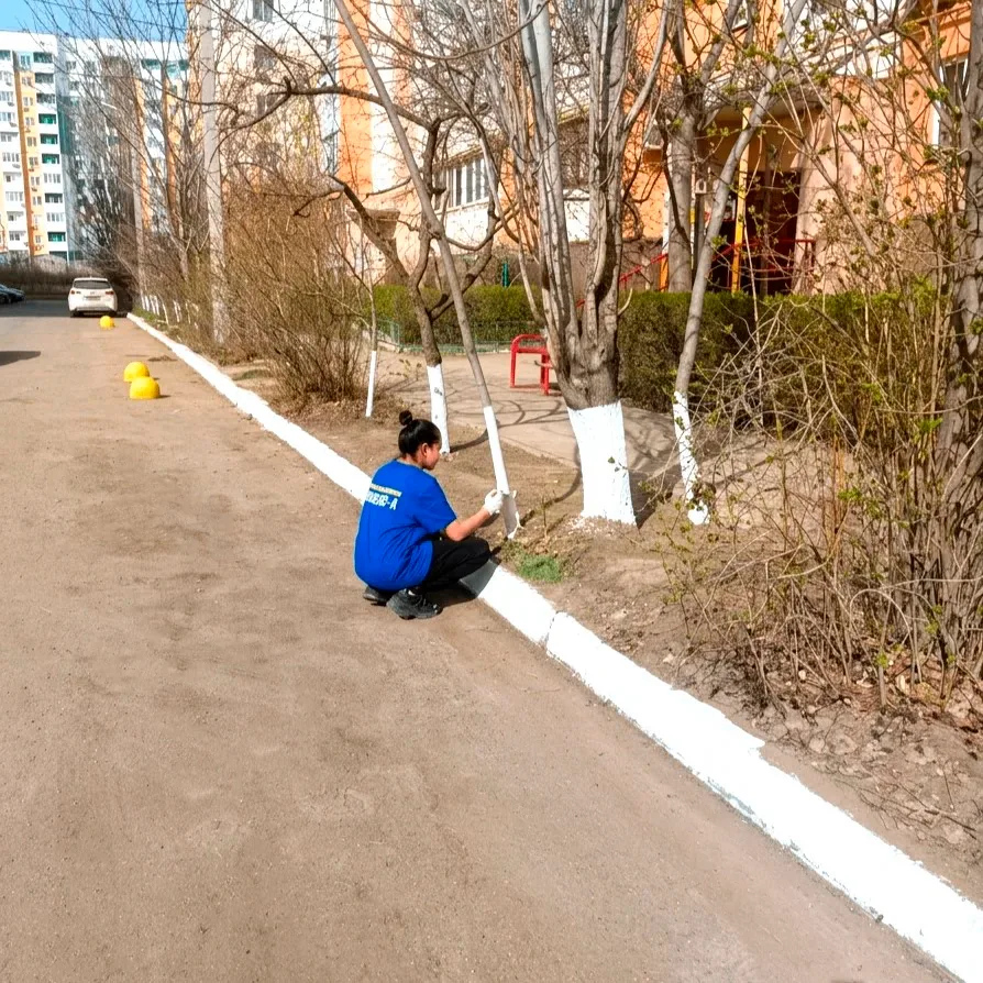 К новости «🎨 Яркое преображение двора!»