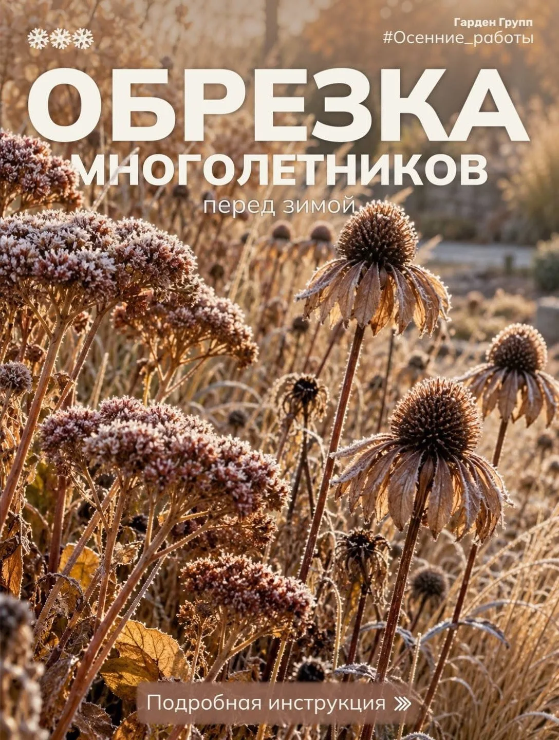 🍁✂️Осенняя обрезка: почему нельзя стричь всё подряд