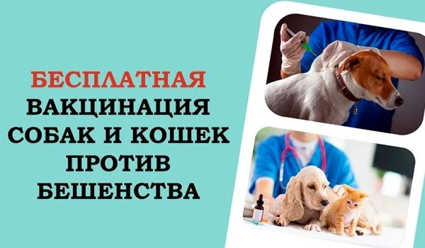 Уважаемые владельцы домашних животных!