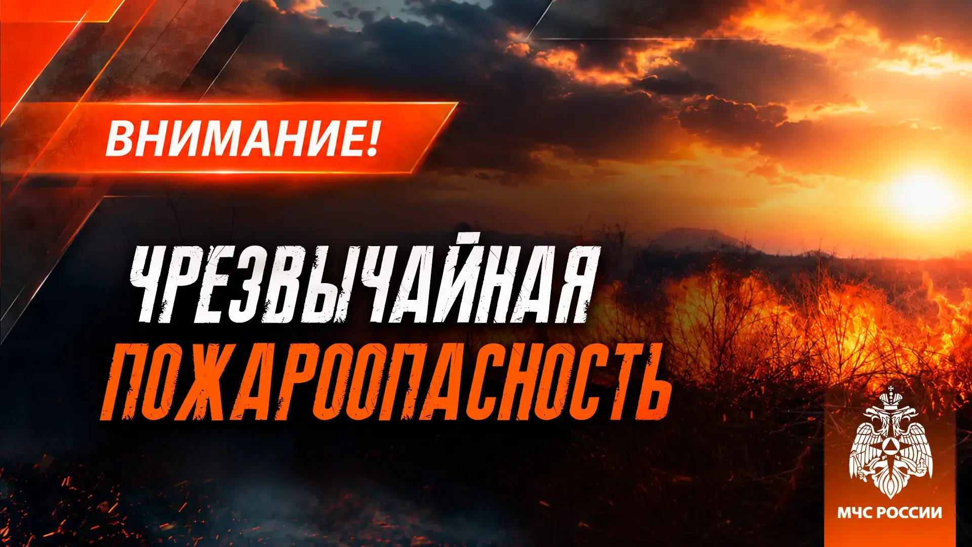 ‼ Чрезвычайная пожароопасность (5 класс) в центральных районах ДНР и в Приазовье, на ос...