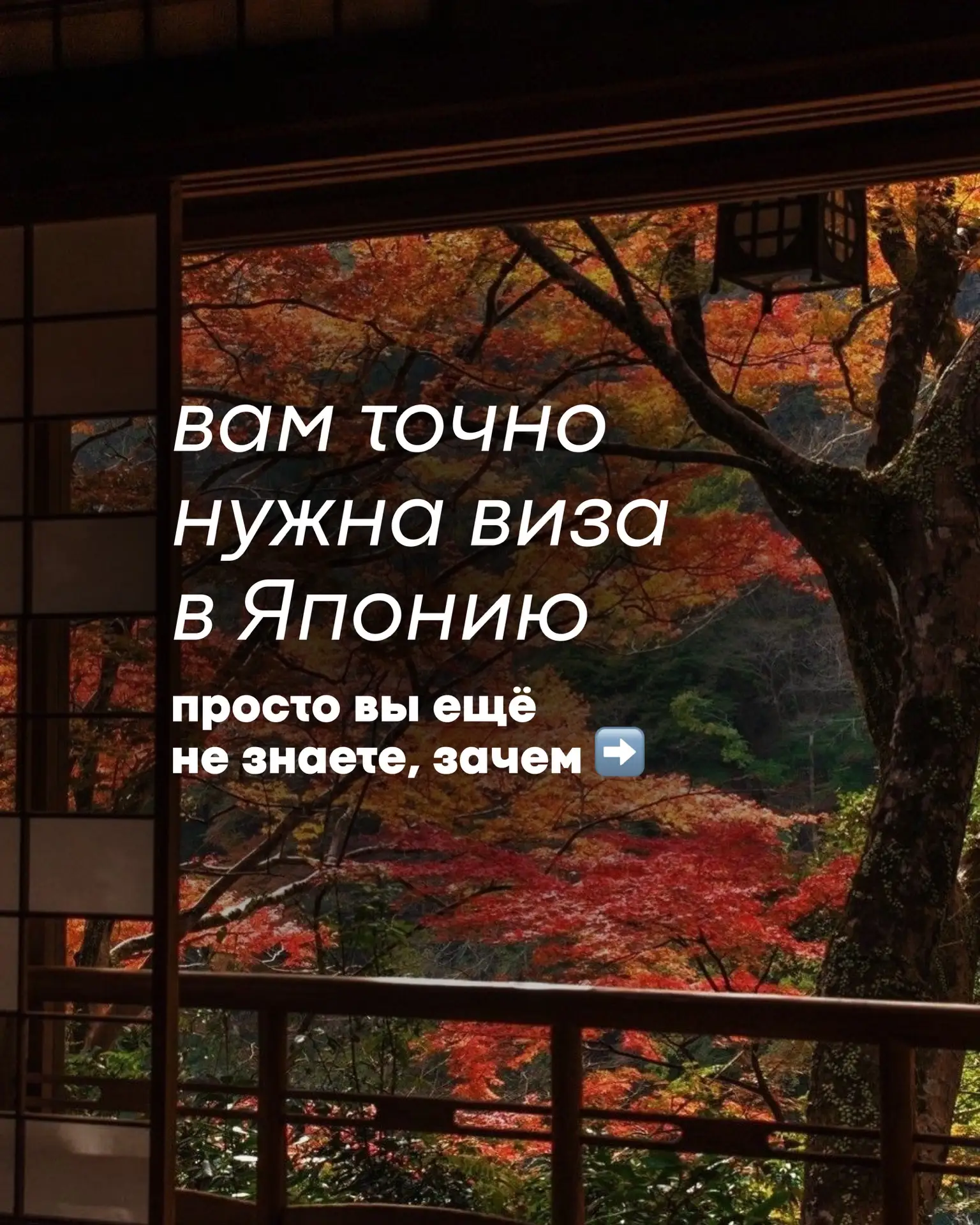 Хотите в Японию этой осенью?
