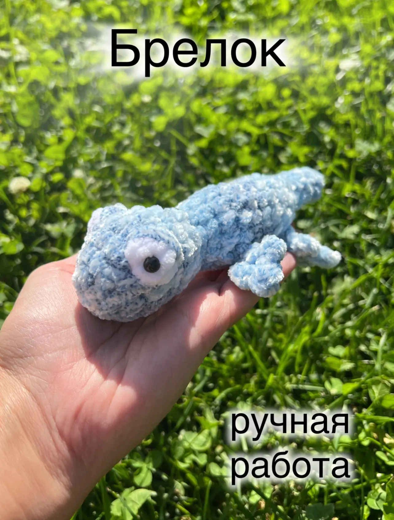Ящерка длиной 13см