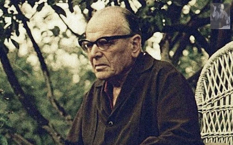 "Бессильное сожаление о том, что мы могли бы сделать и чего мы не сделали по лености, по нашему удив
