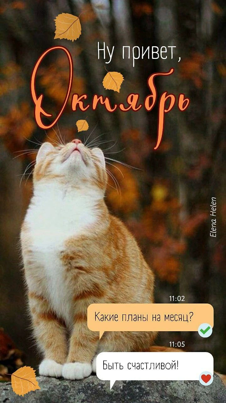 Что взять с собой в октябрь