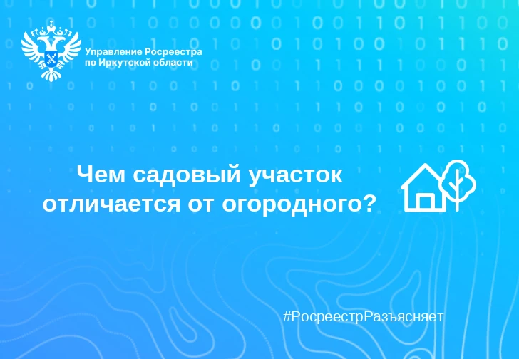 Чем садовый участок отличается от огородного?