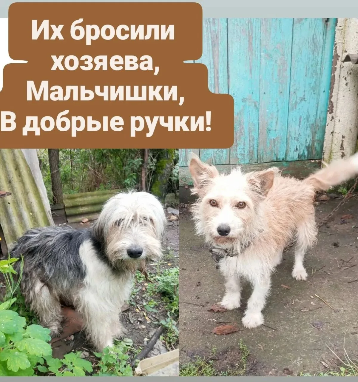 Здравствуйте!!!