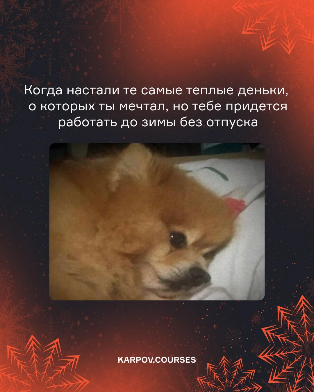 Настоящее лето начинается тогда, когда берешь ноутбук не в офис, а на дачу