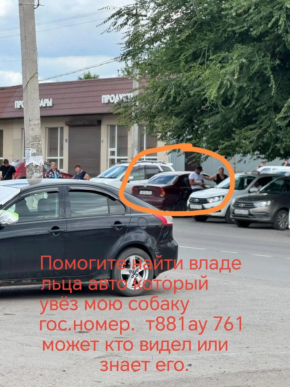 Пропала собака зовут Чарли, на радио видели как его поймали и посадили в машину с гос. ...