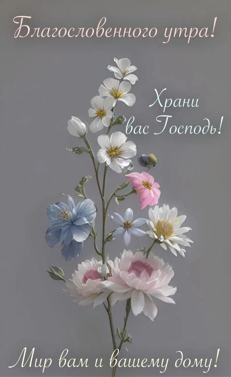 10 июня  
🕊️Сердечно поздравляем с именинами  Дениса,  Дмитрия, Захара,  Игната, Ираклия, Макара, Н