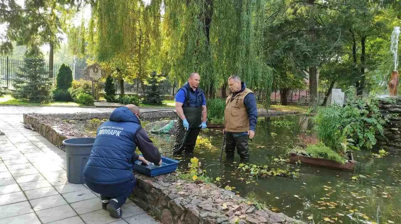 В Воронеже снимают фильм про зоопарк