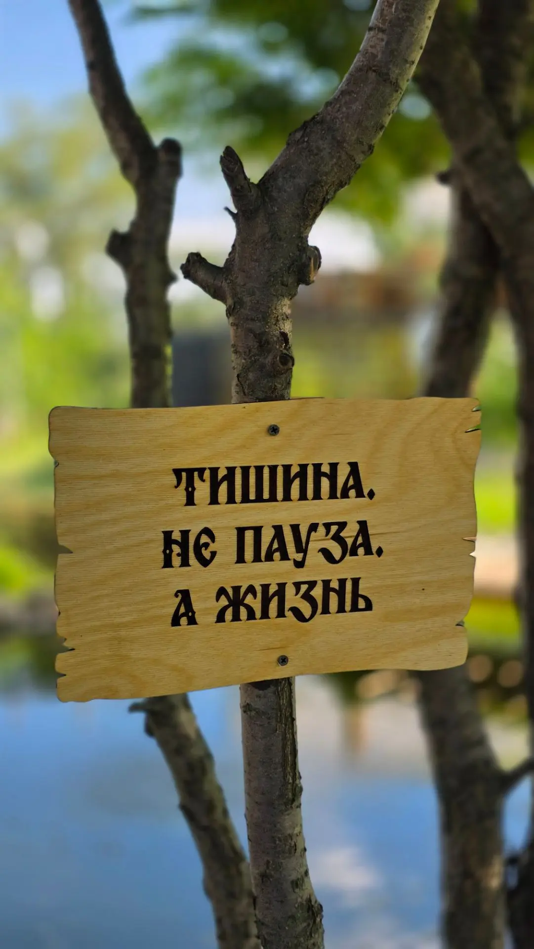 💡Философия отдыха в 🏕 глэмпинг парке Александровский грабен