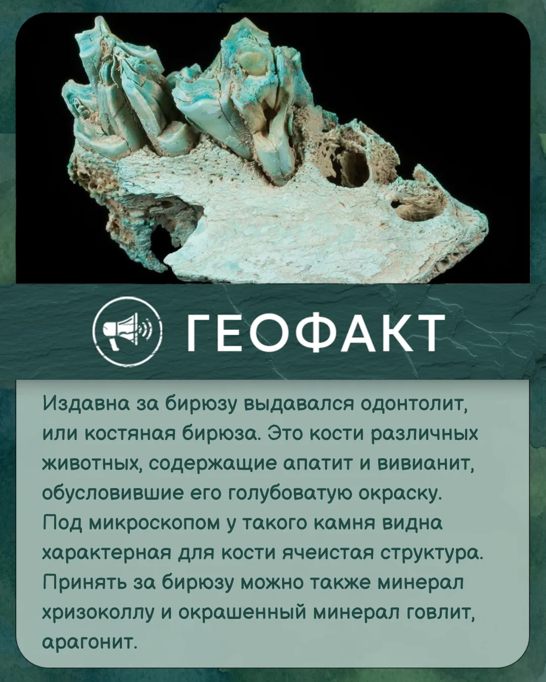 #геофакт
