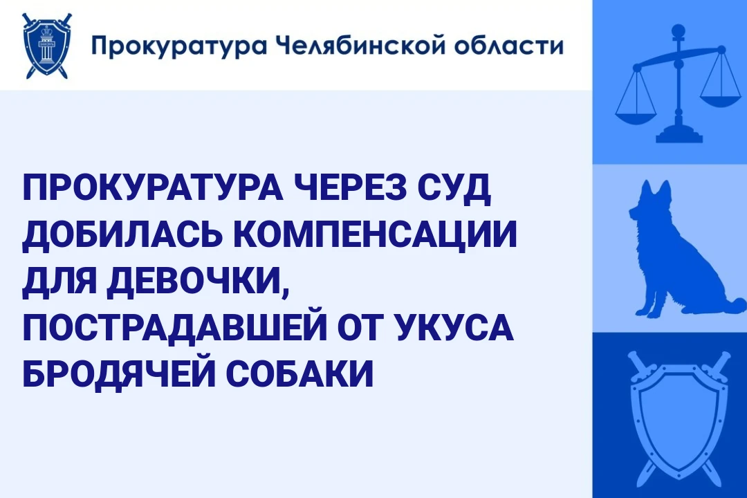 Прокуратура Курчатовского района г. Челябинска провела проверку по обращению  законного...