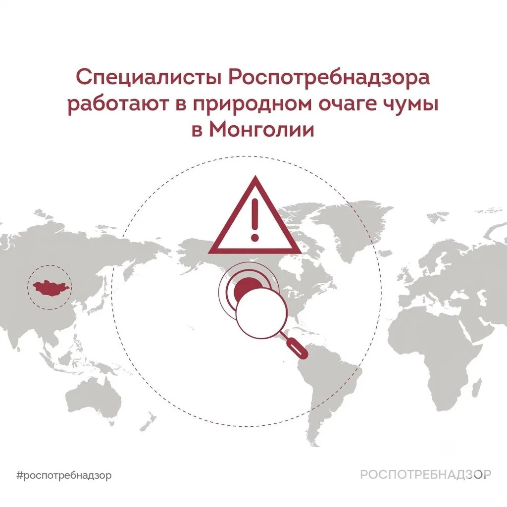 Специалисты Роспотребнадзора работают в природном очаге чумы в Монголии

‼️ Специалисты Роспотребнад