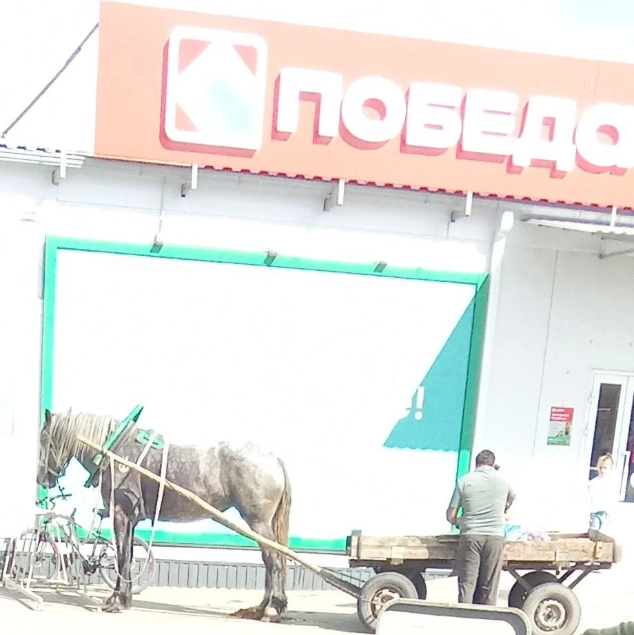 🐎В Гуково походу нашли замену авто - это лошадь