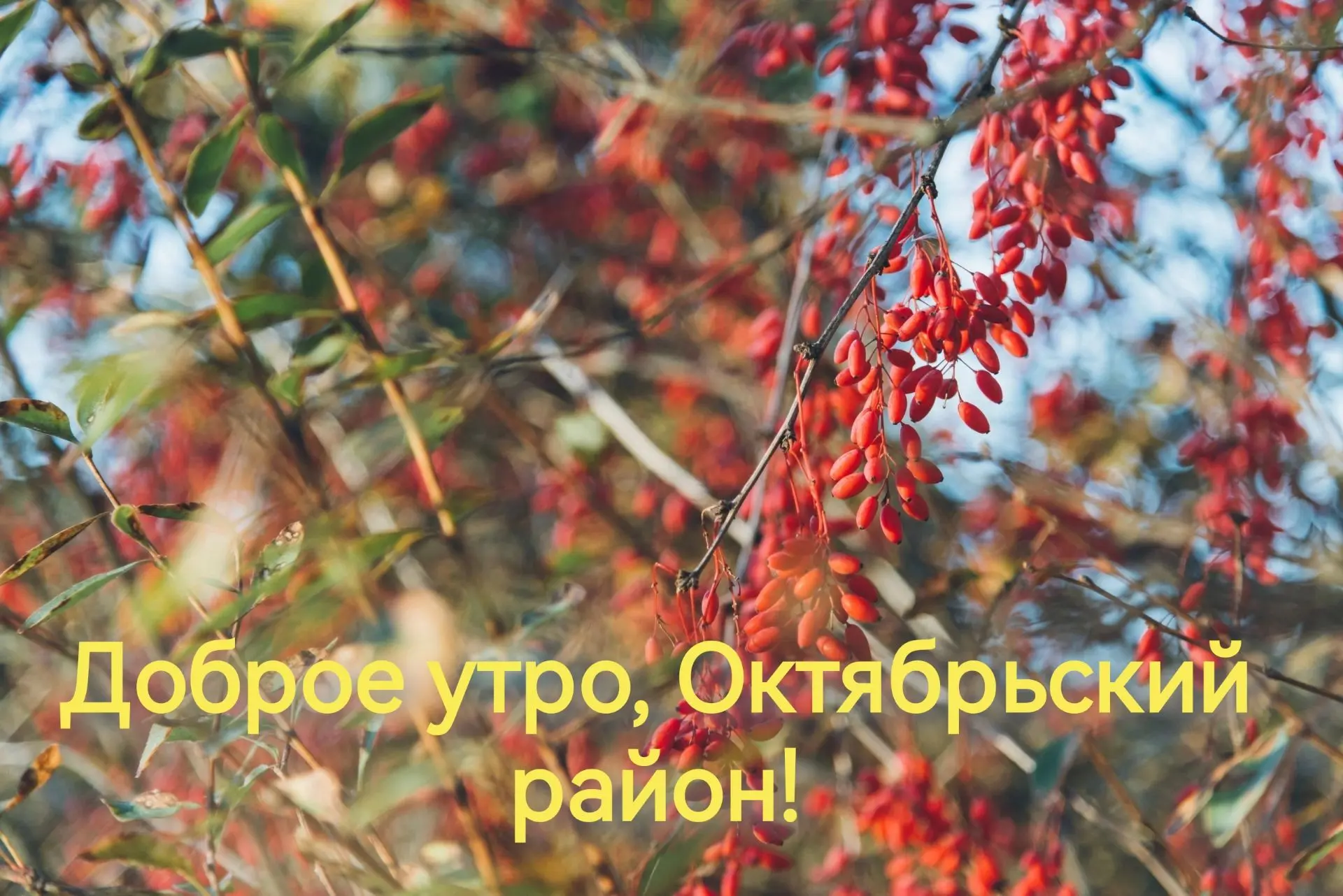 4 октября  в Октябрьском районе будет облачно с прояснениями, осадков не ожидается. Тем...