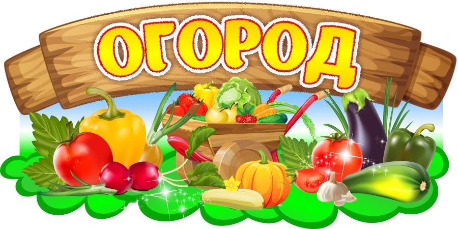 Наш любимый огород всегда требует забот. В подготовительной группе на утреннем круге воспитанники пр