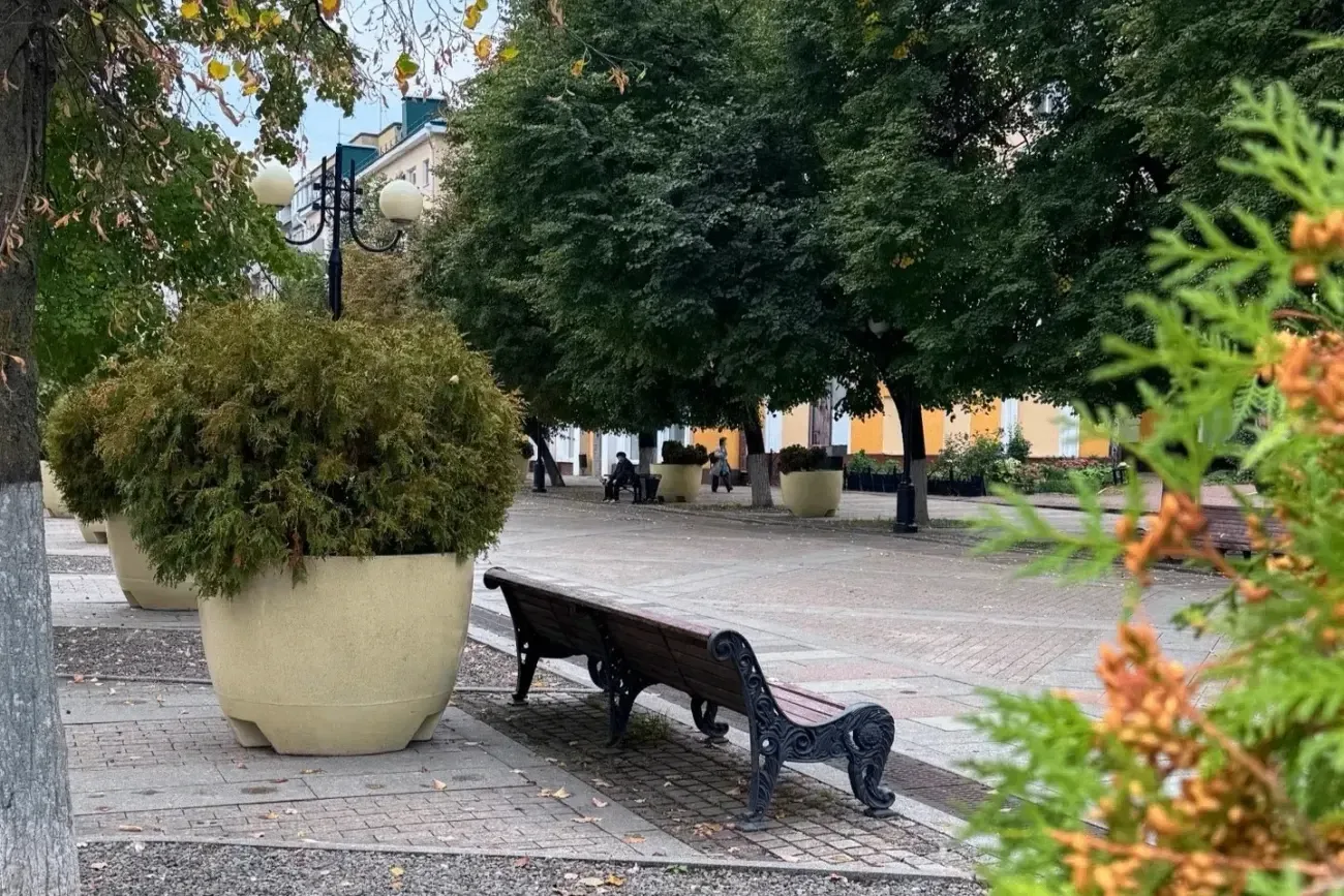 Погода в Пензенской области на неделе: дожди, туман и потепление к выходным