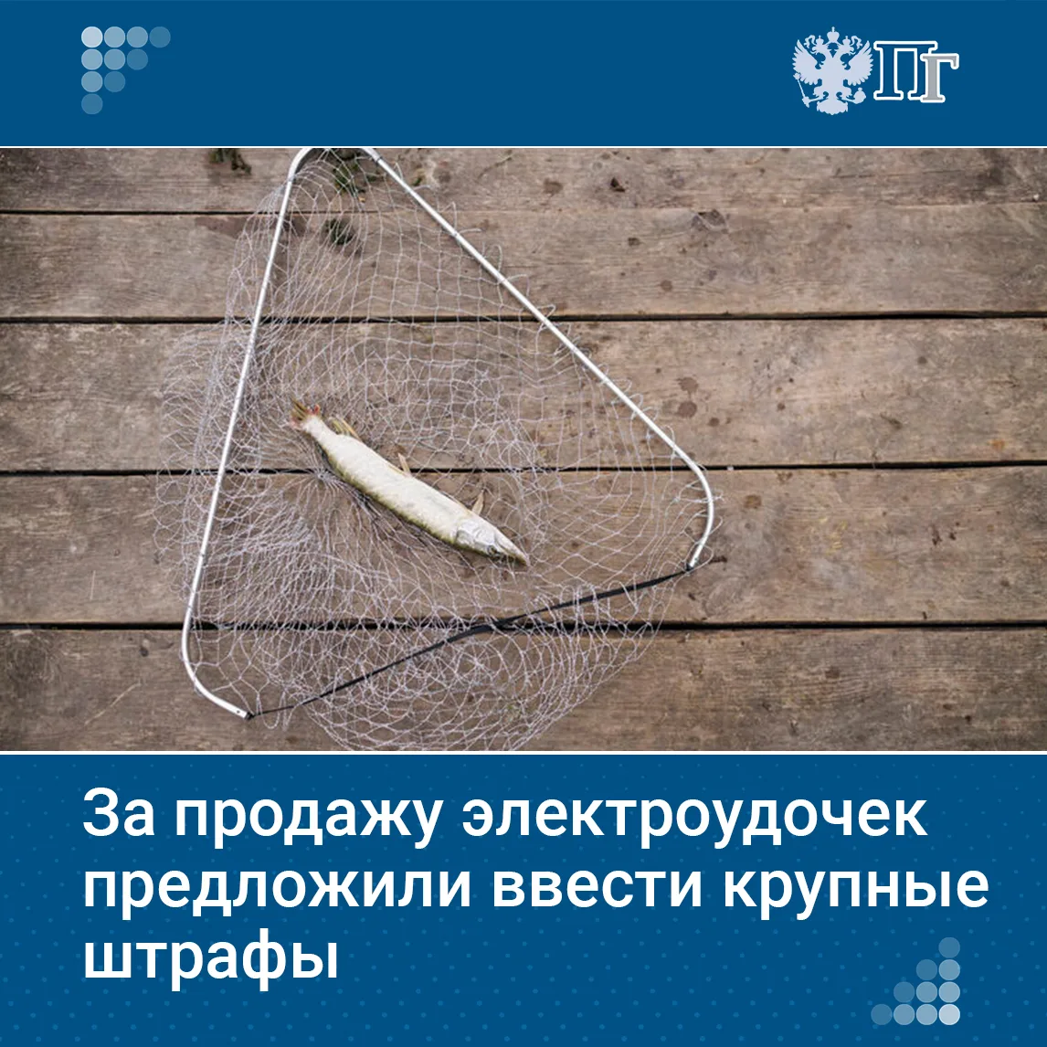 Рыбалка с помощью электроудочки — один из самых варварских методов браконьерства. Это орудие наносит