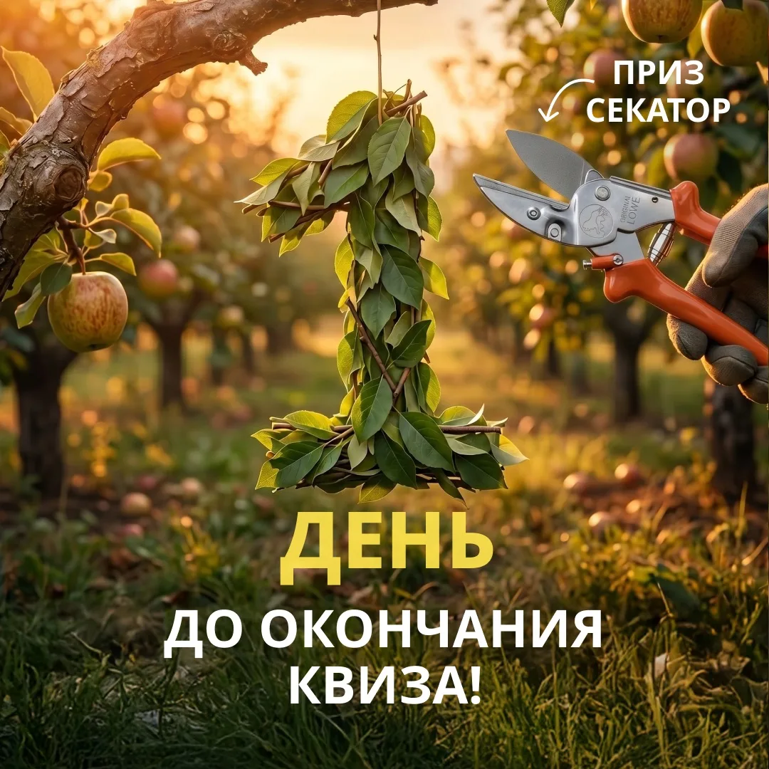 #квиз
#сады

⏰ Последний шанс ВЫИГРАТЬ СЕКАТОРЫ!

Пройдите квиз и участвуйте в розыгрыше призов!
 
К