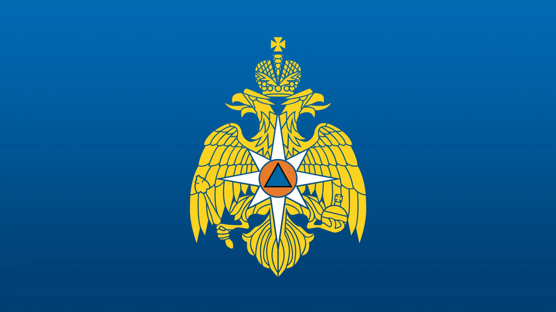 В целях реализации комплексного подхода к оказанию помощи гражданам, пострадавшим в рез...