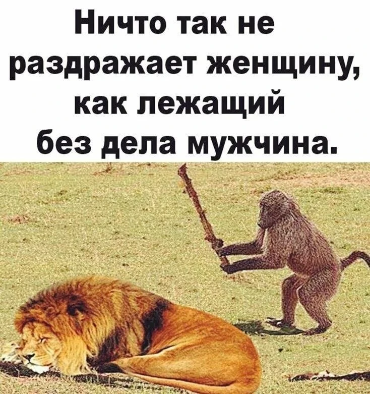 ✅ Лучшие Приколы - Подпишись