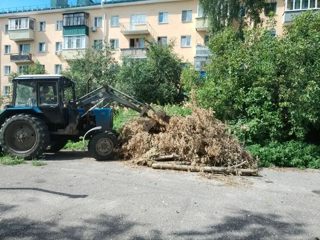 Вывезли сухие ветки и кустарниковую поросль🌳🪵