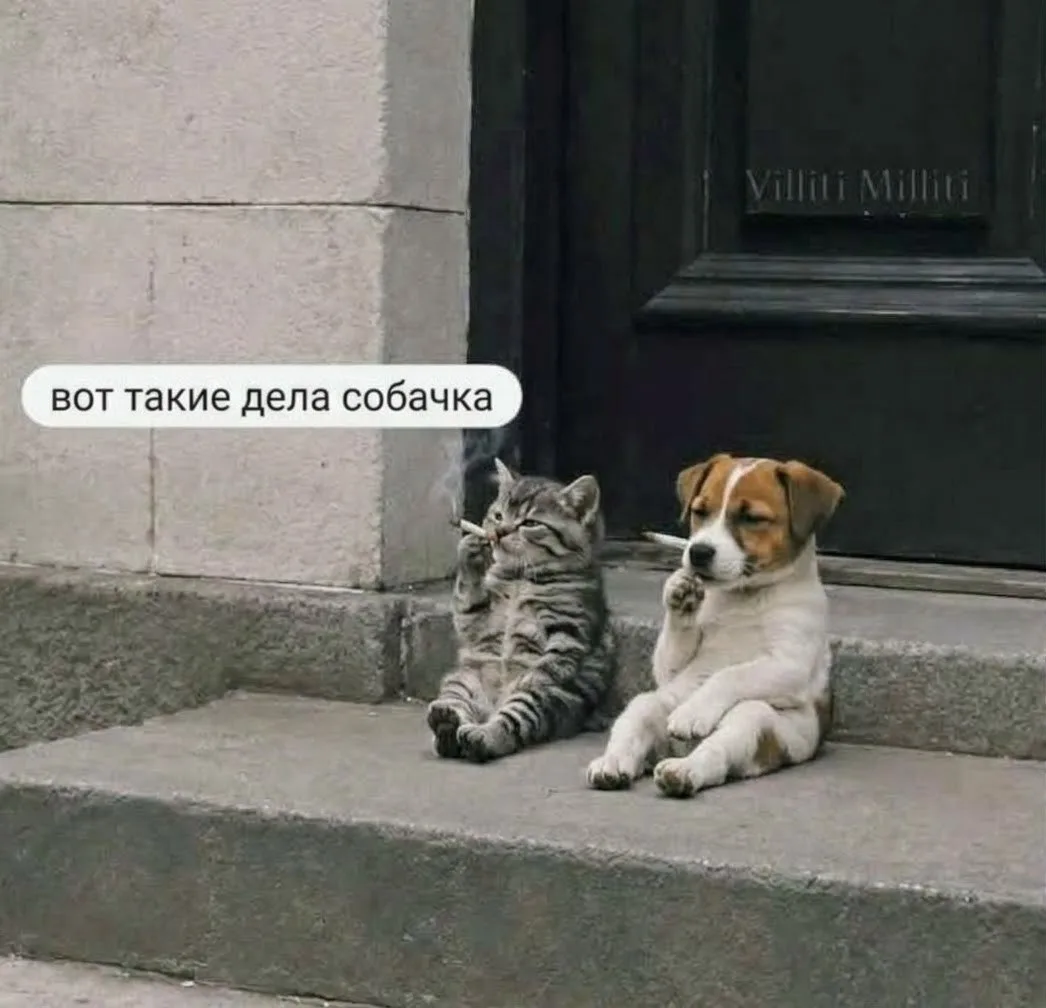 ♨️ График запуска котельных в Касимове