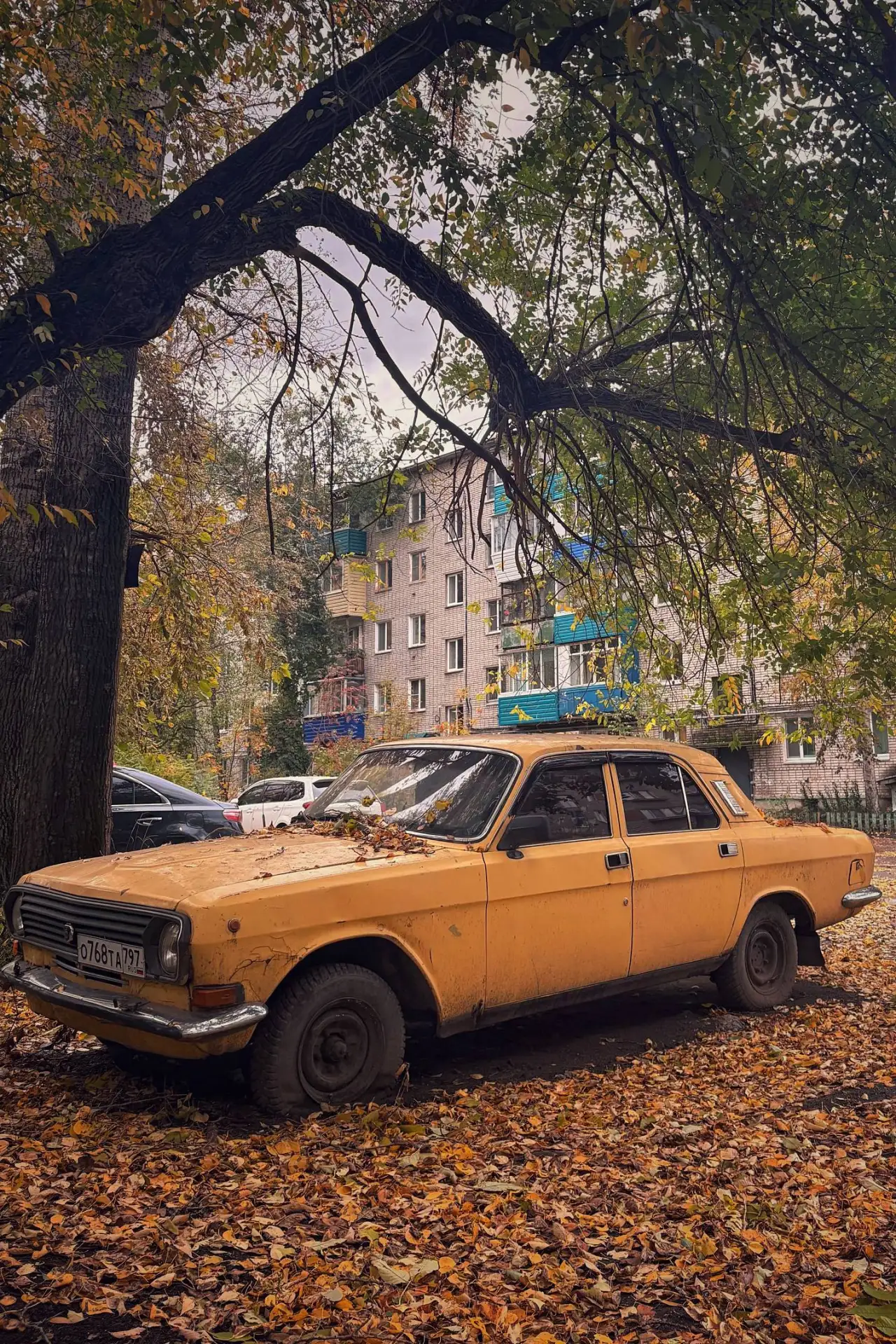 Доброго, воскресного утра!😚