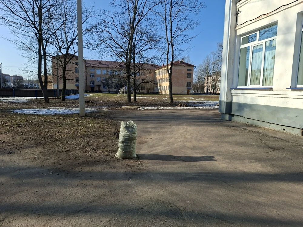 🤗Большое-пребольшое спасибо всем работникам гимназии, которые сегодня провели первый весенний мини-с