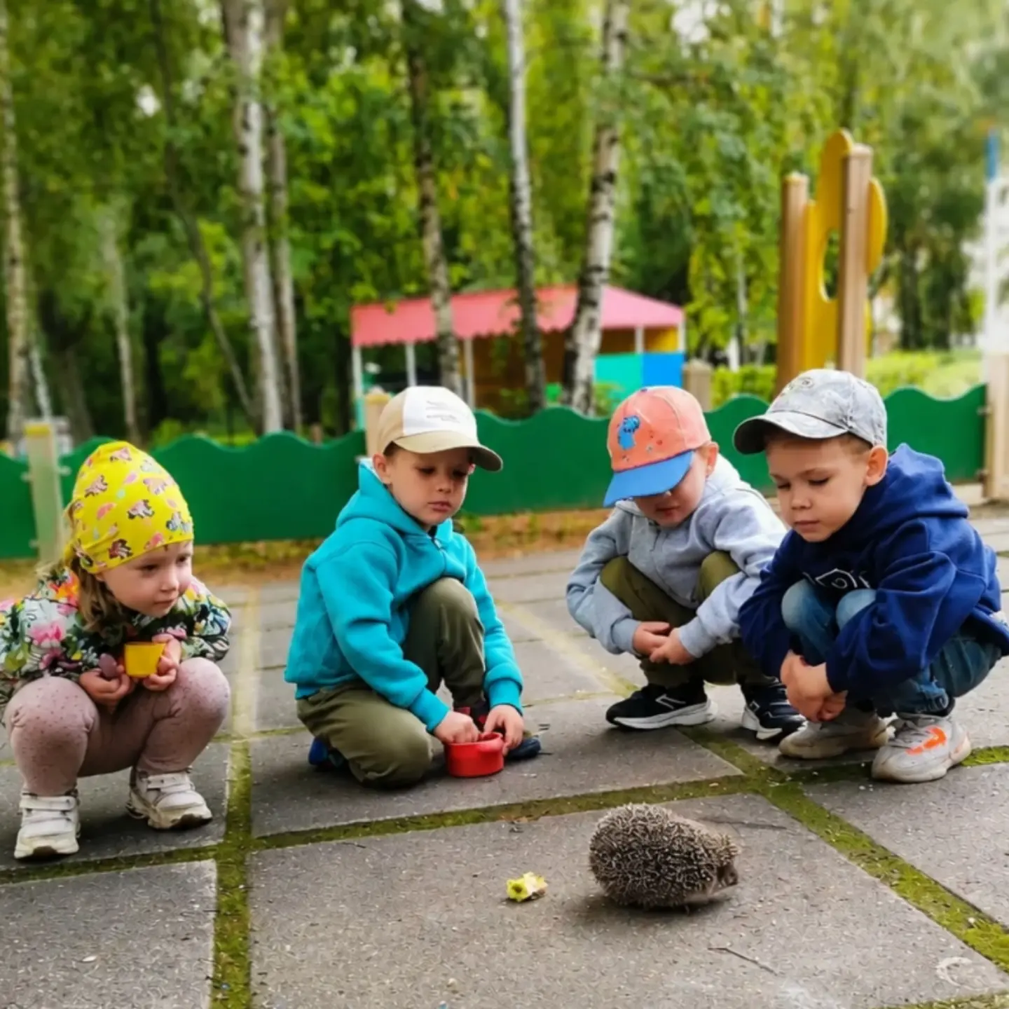 Сегодня на прогулке произошло невероятное событие! На территорию нашего детского сада з...