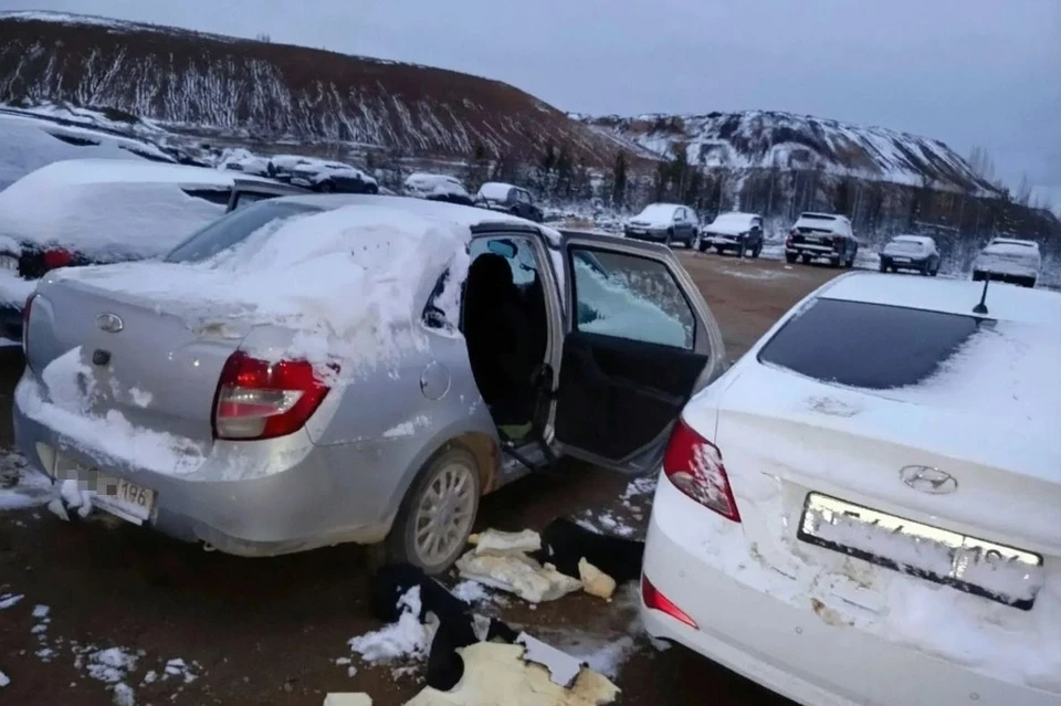⚠️  Медведи повредили десять автомобилей на уральской парковке