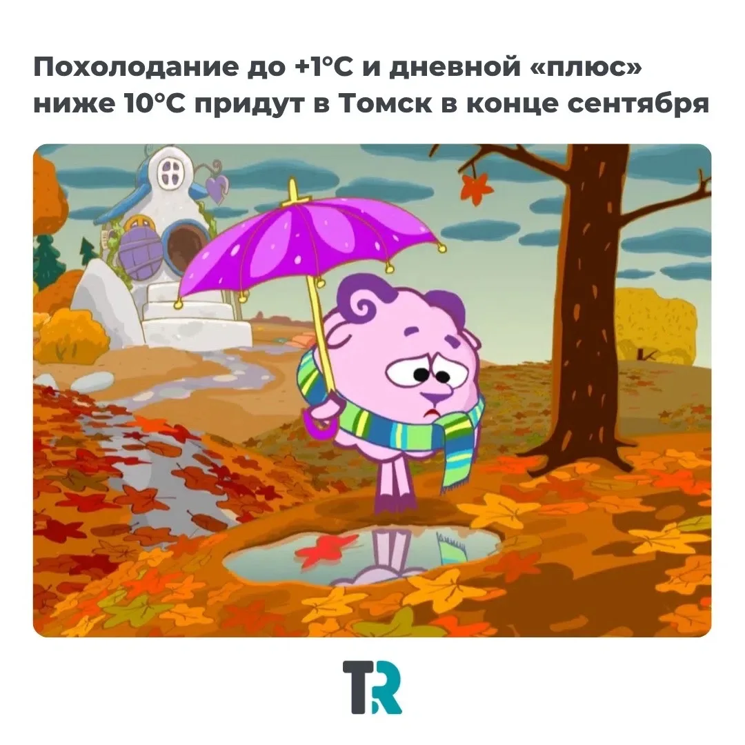 🍂 В Томск идет похолодание: к концу сентября дневная температура опустится ниже +10°С