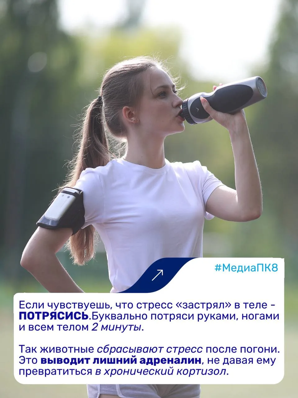 #МедиаПК8  Учеба часто становится источником напряжения для многих.   Мы создали подборку рекомендац